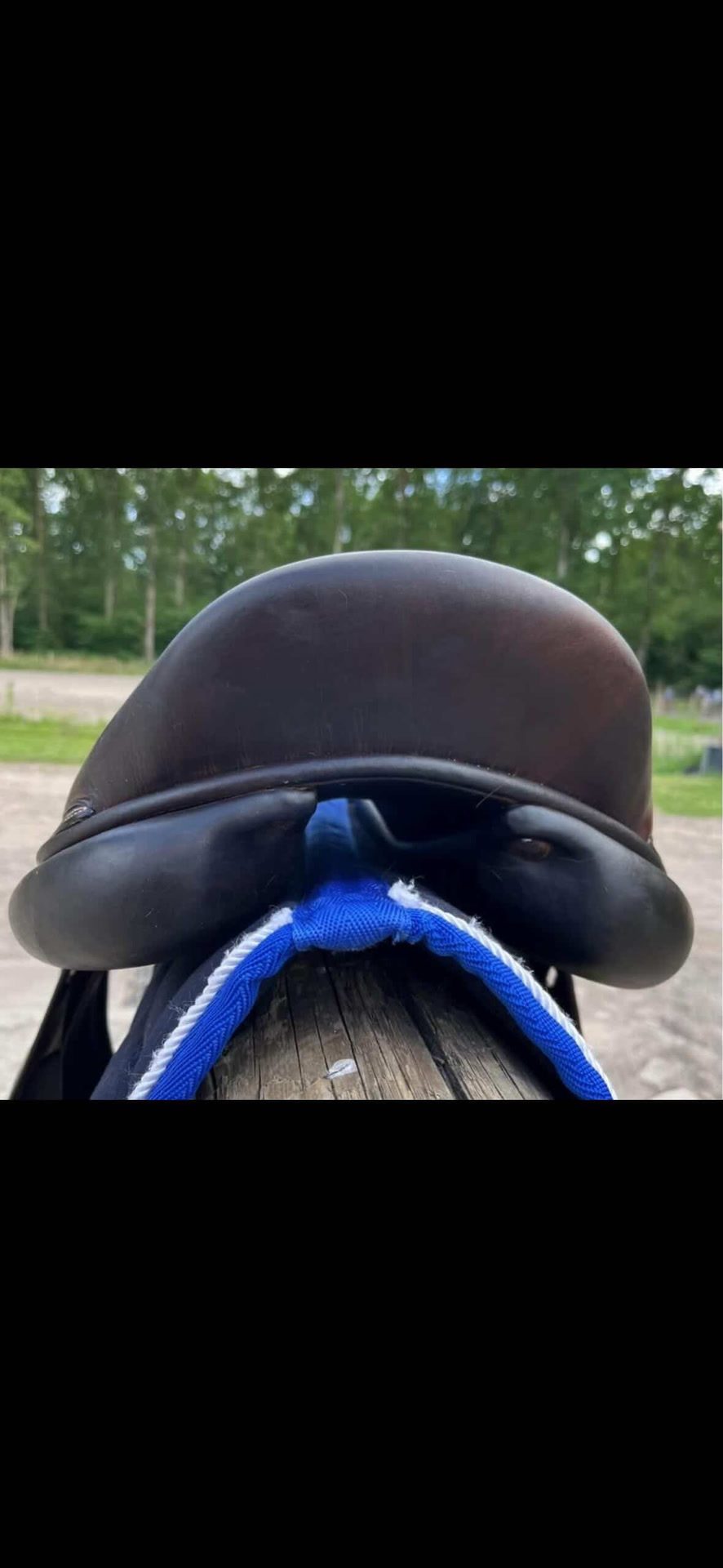 Selle rebelle, média 5