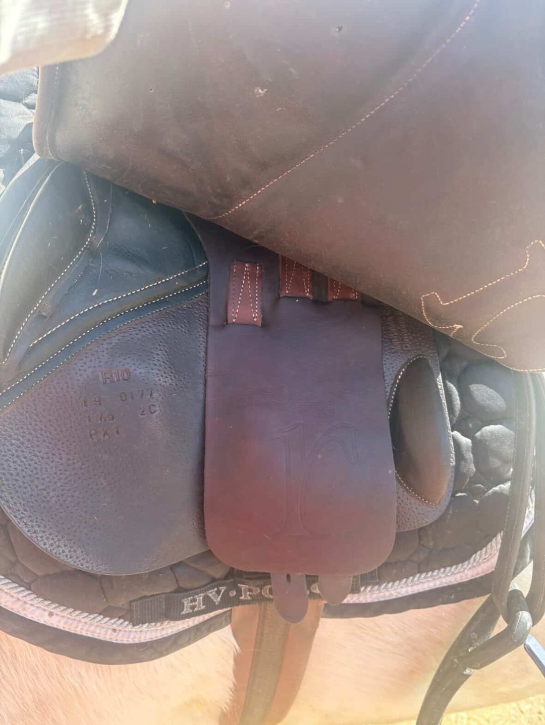 Selle rebelle, média 2