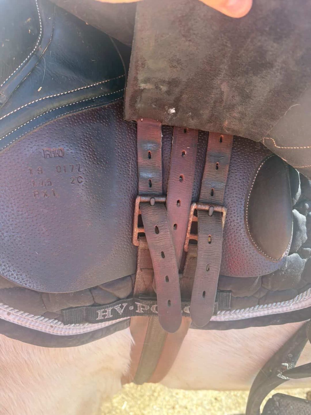 Selle rebelle, média 3