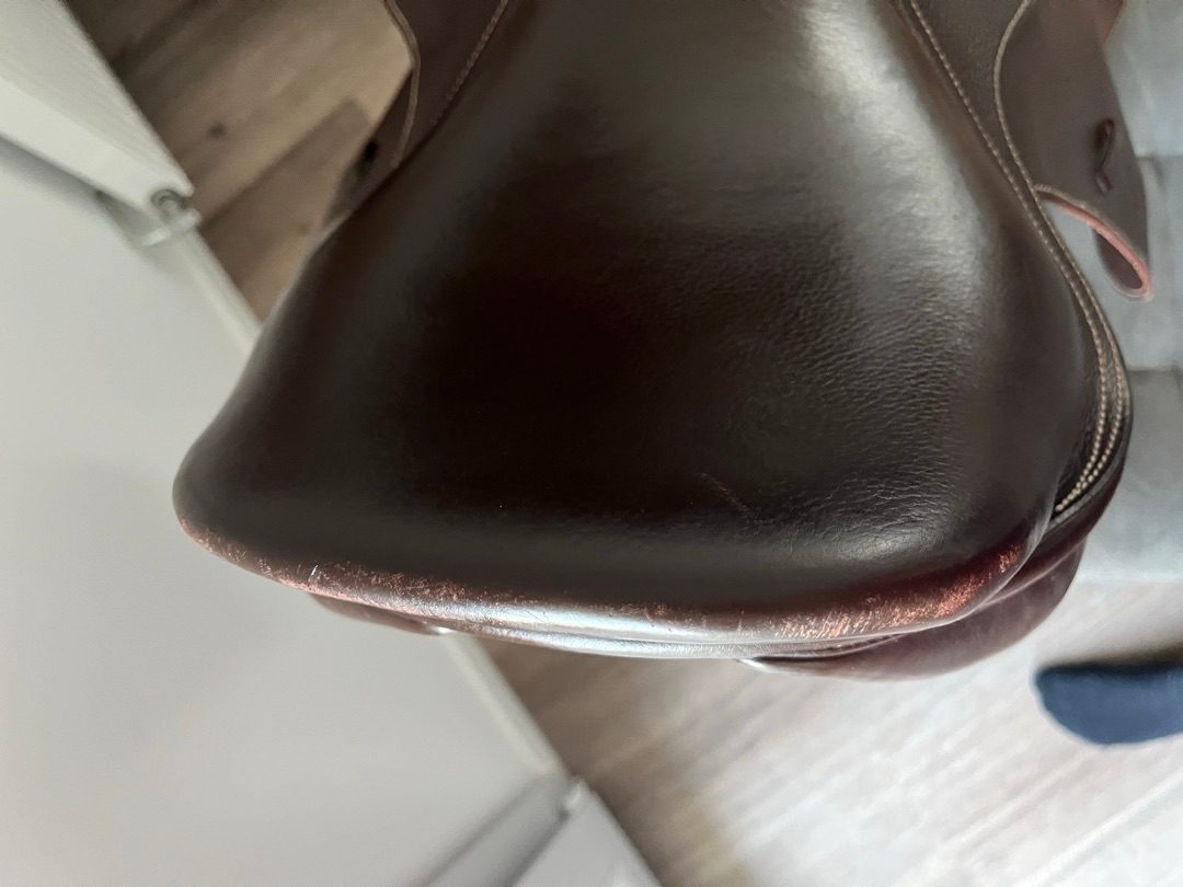 Selle de cheval mixte PRIVILÈGE ÉQUITATION, média 8