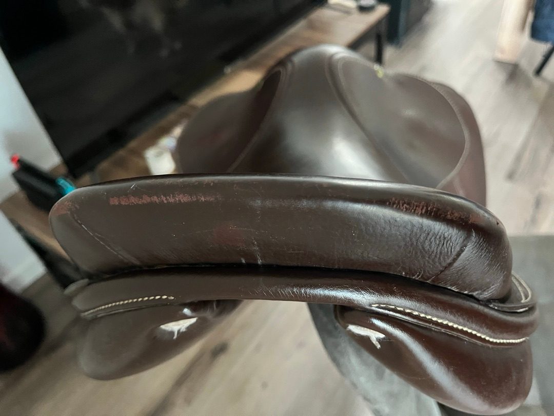 Selle de cheval mixte PRIVILÈGE ÉQUITATION, média 9