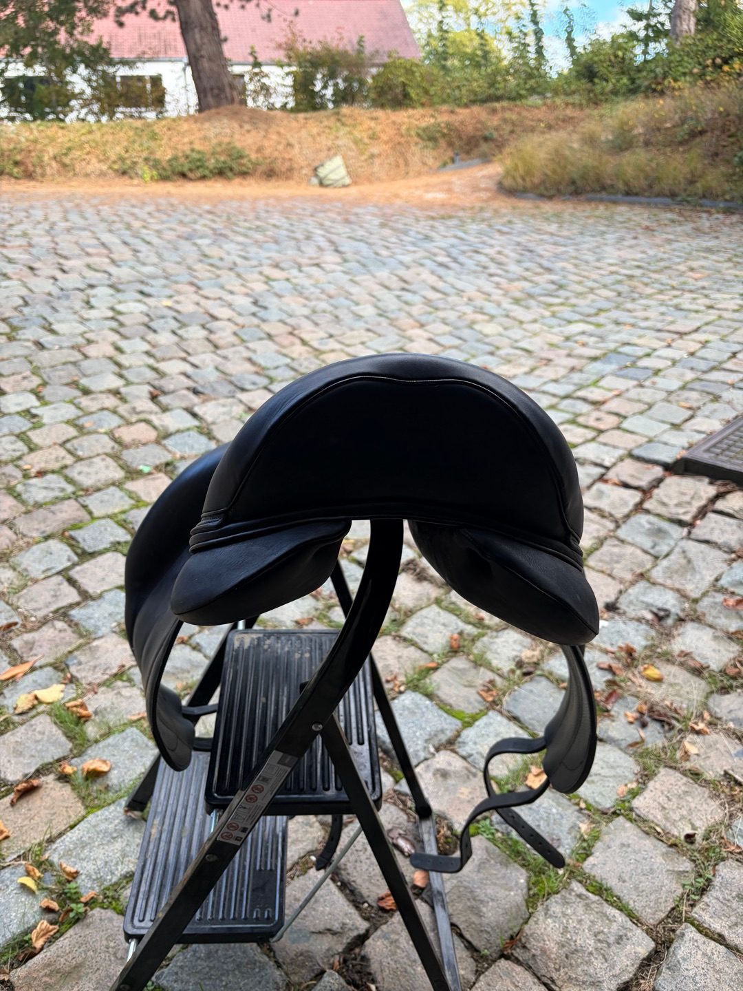 Selle Forestier 18´ (oct 2025), média 6