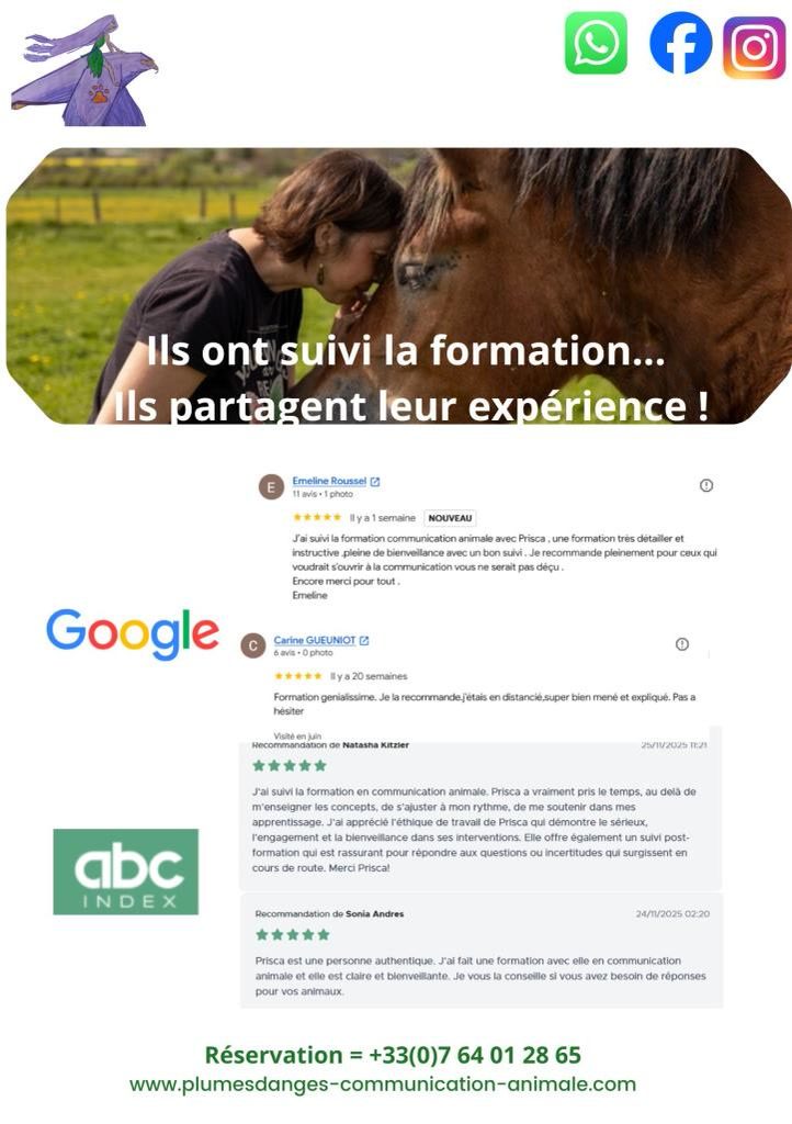 🐴 Privilège Cavalier : -10% sur votre Formation Individuelle en distanciel 🐎, média 2