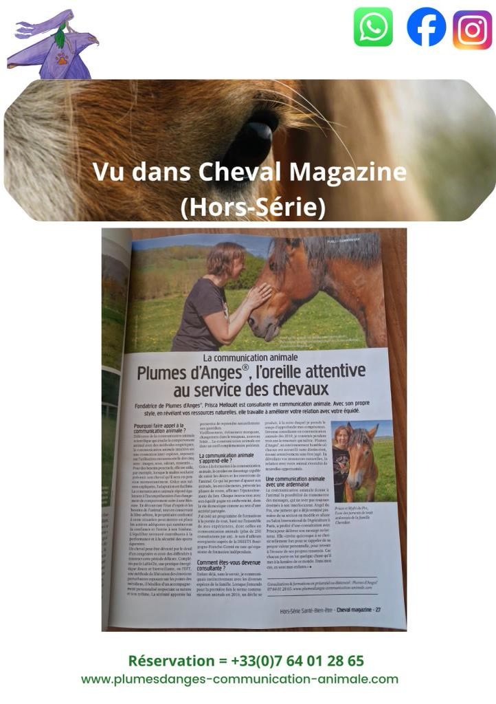 🐴 Privilège Cavalier : -10% sur votre Formation Individuelle en distanciel 🐎, média 3