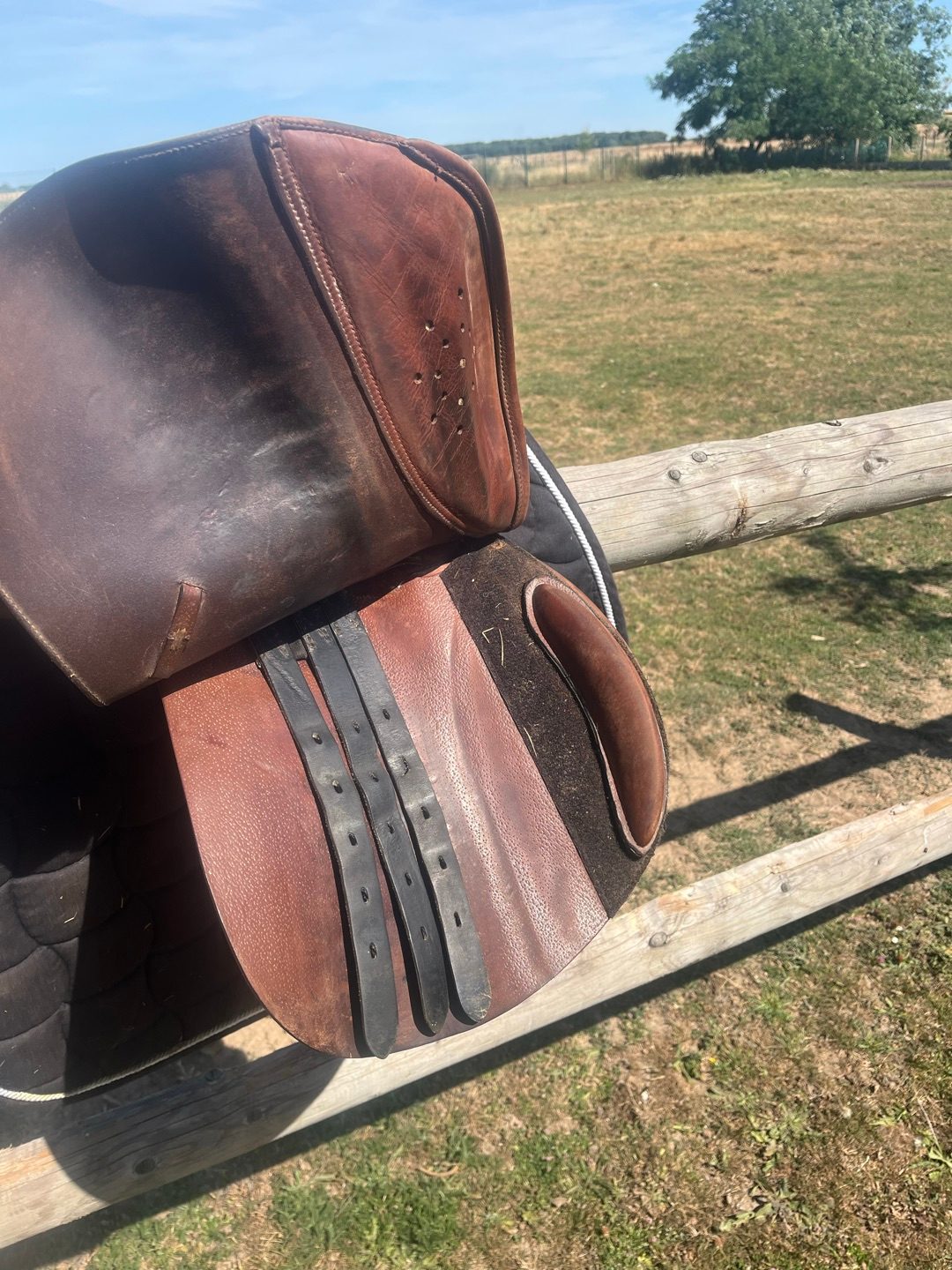 Selle de cso, média 3