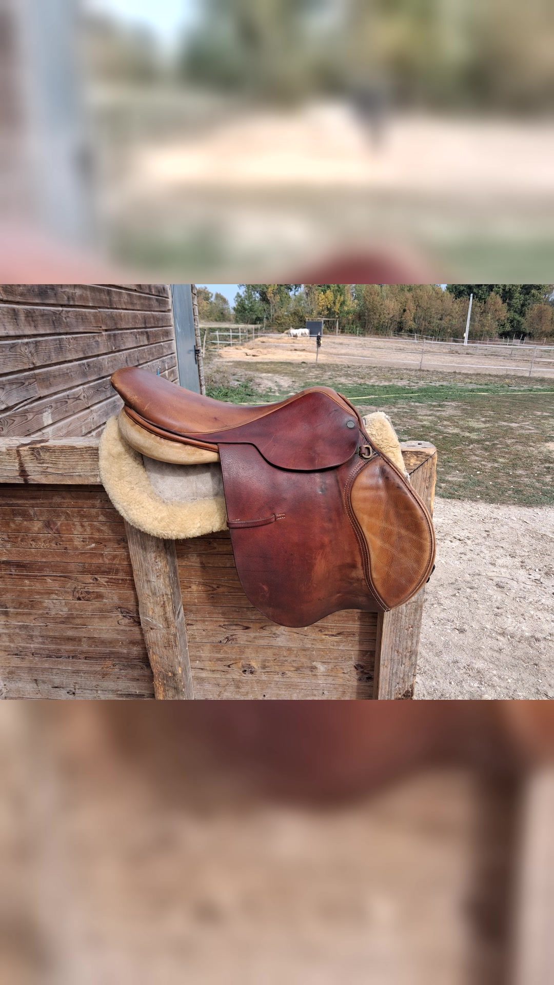 Selle mixte, média 3