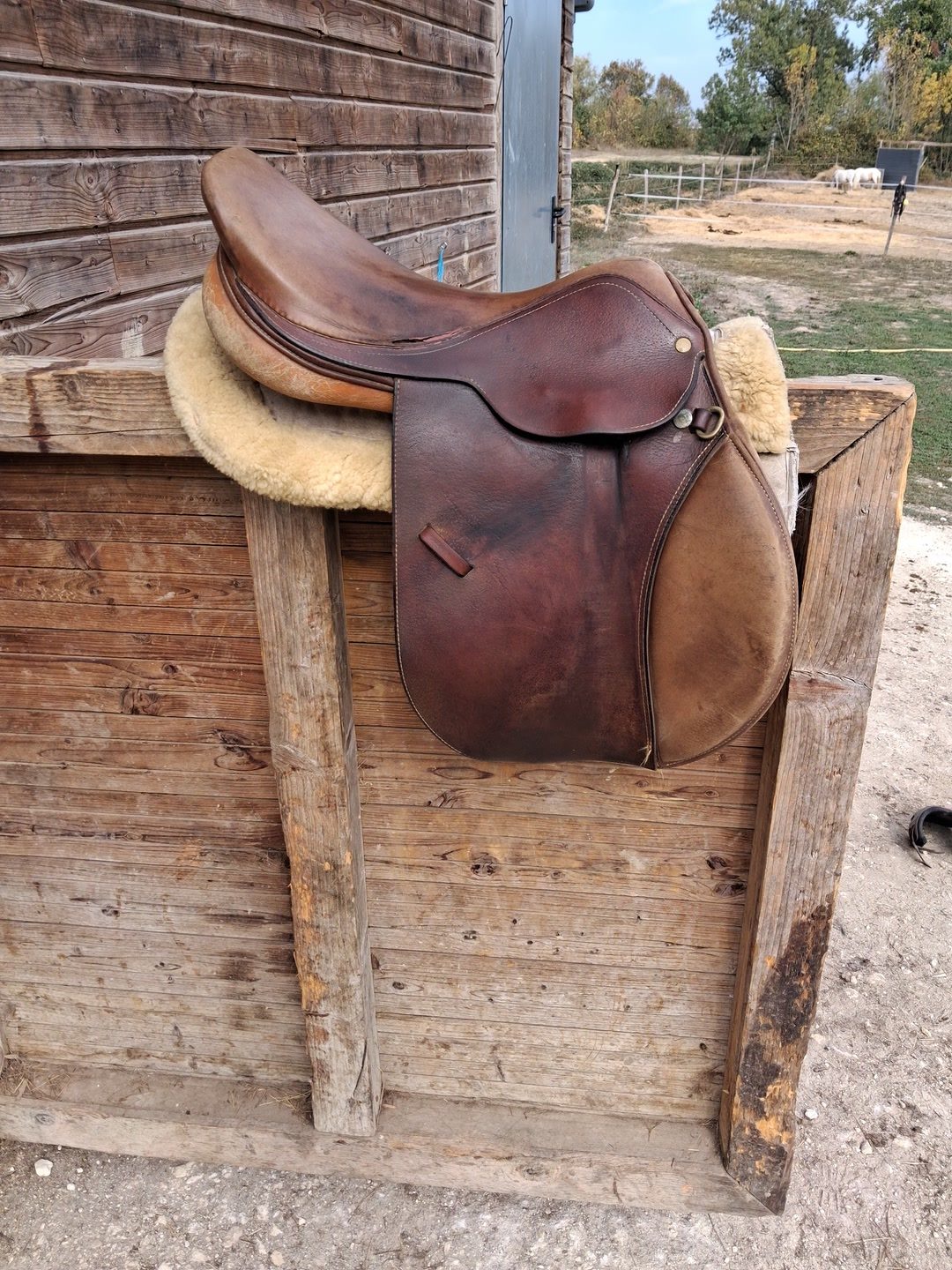 Selle, média 3