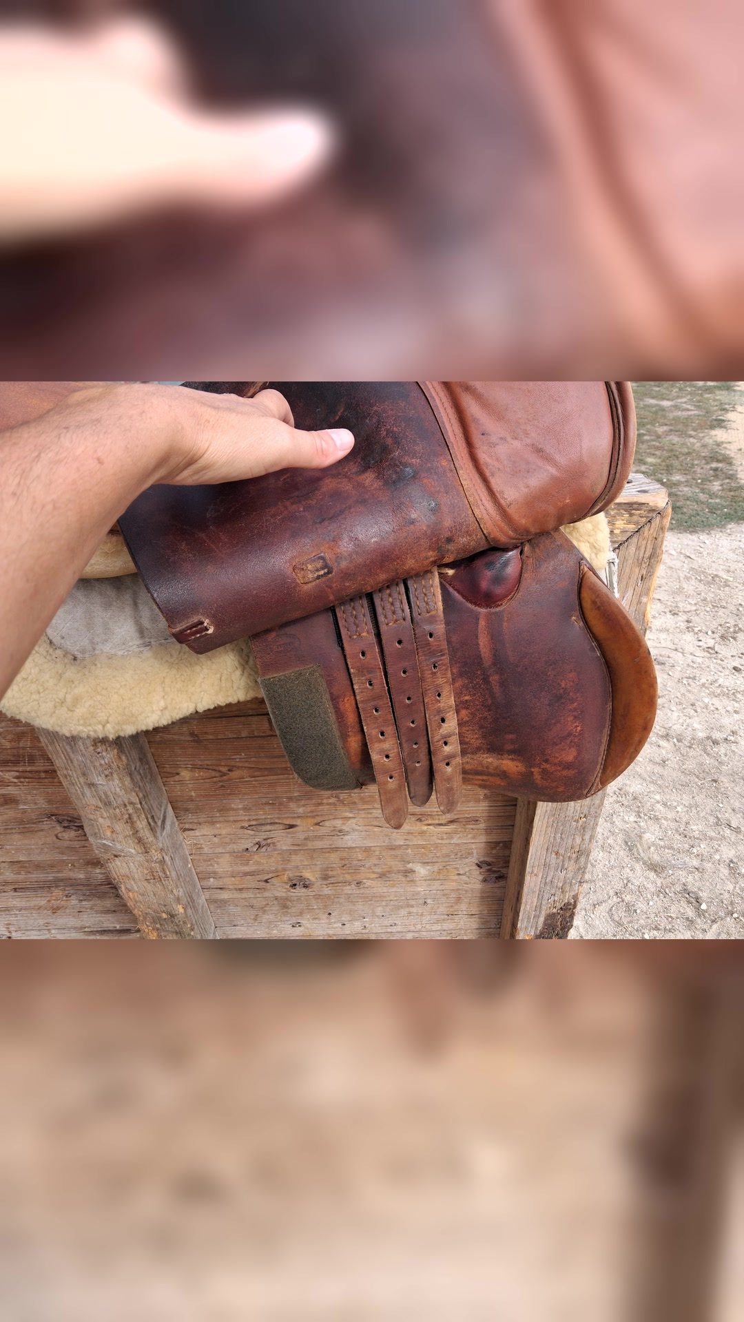 Selle mixte, média 2