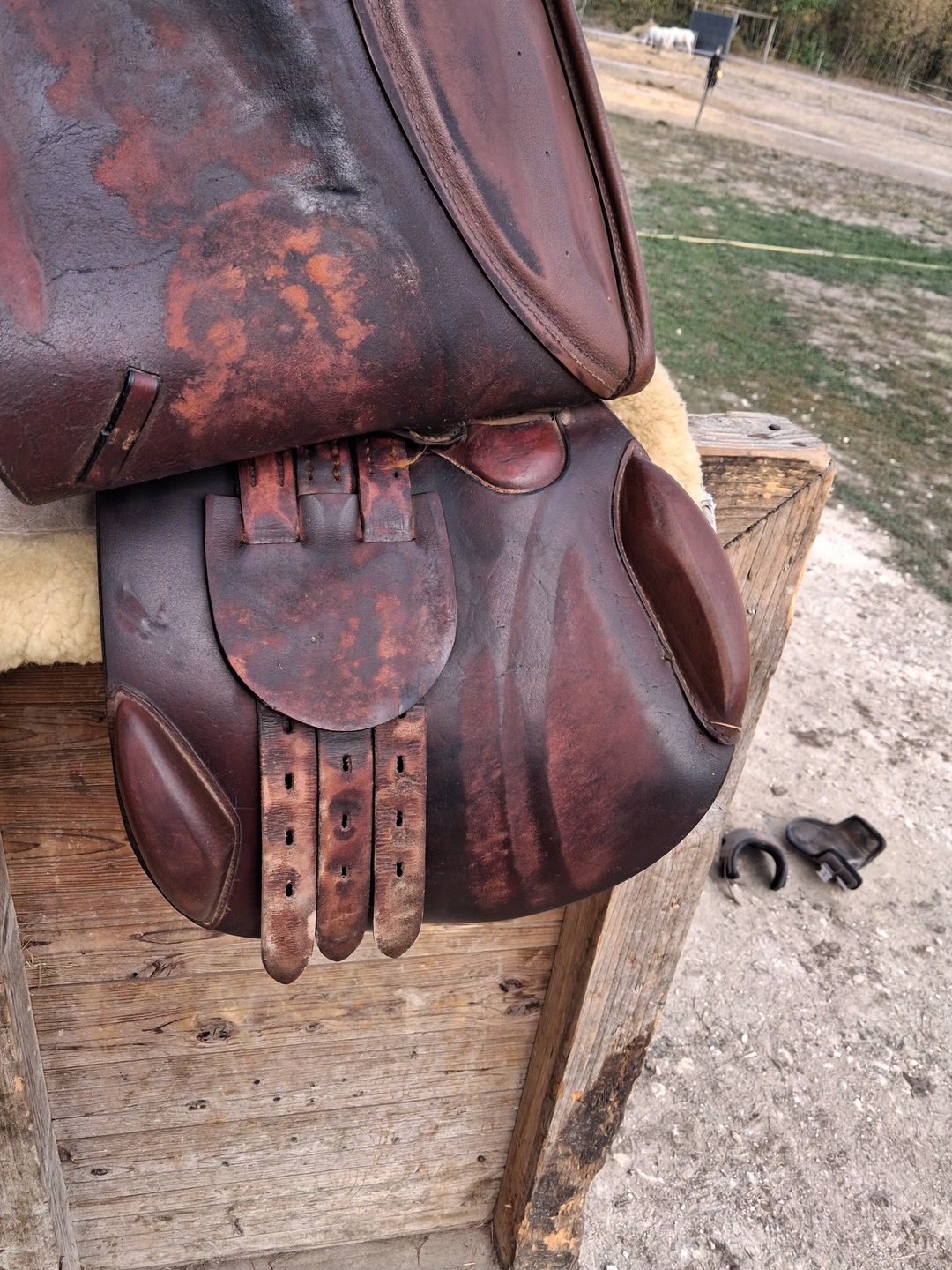 Selle, média 2