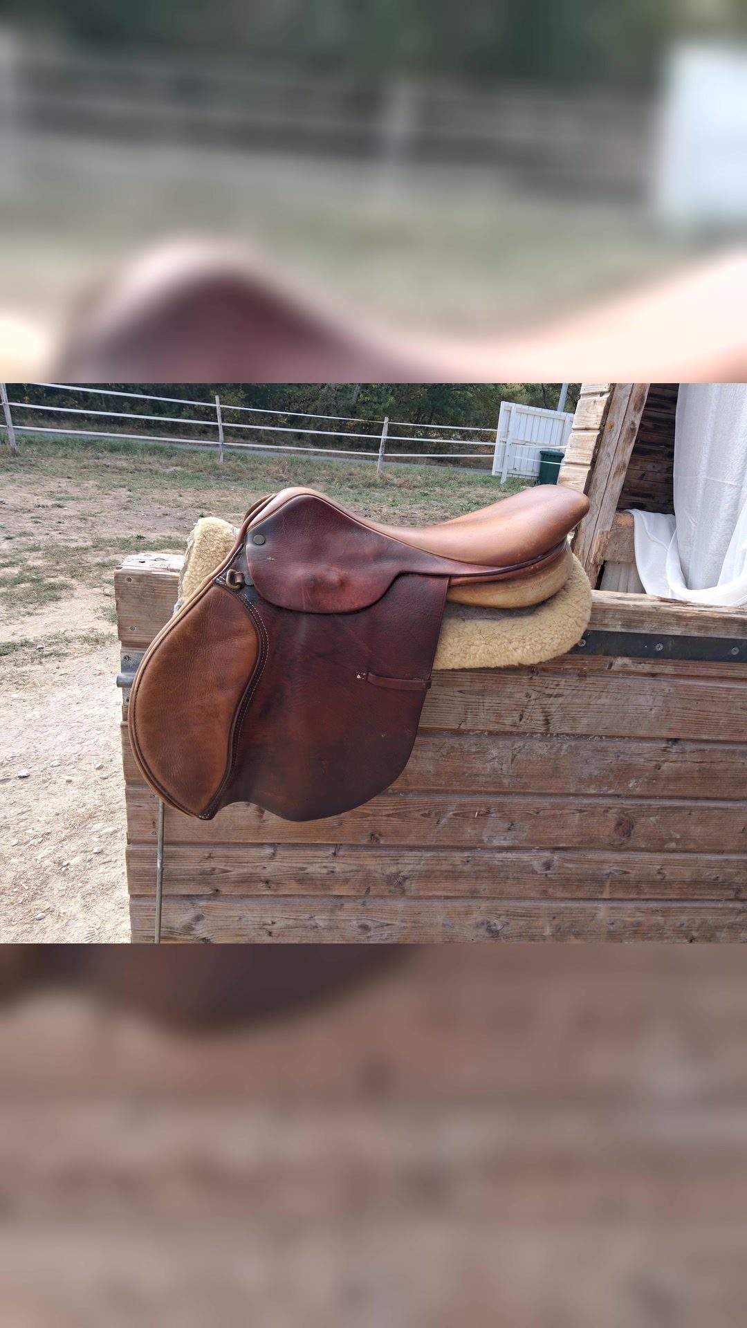 Selle mixte, média 4
