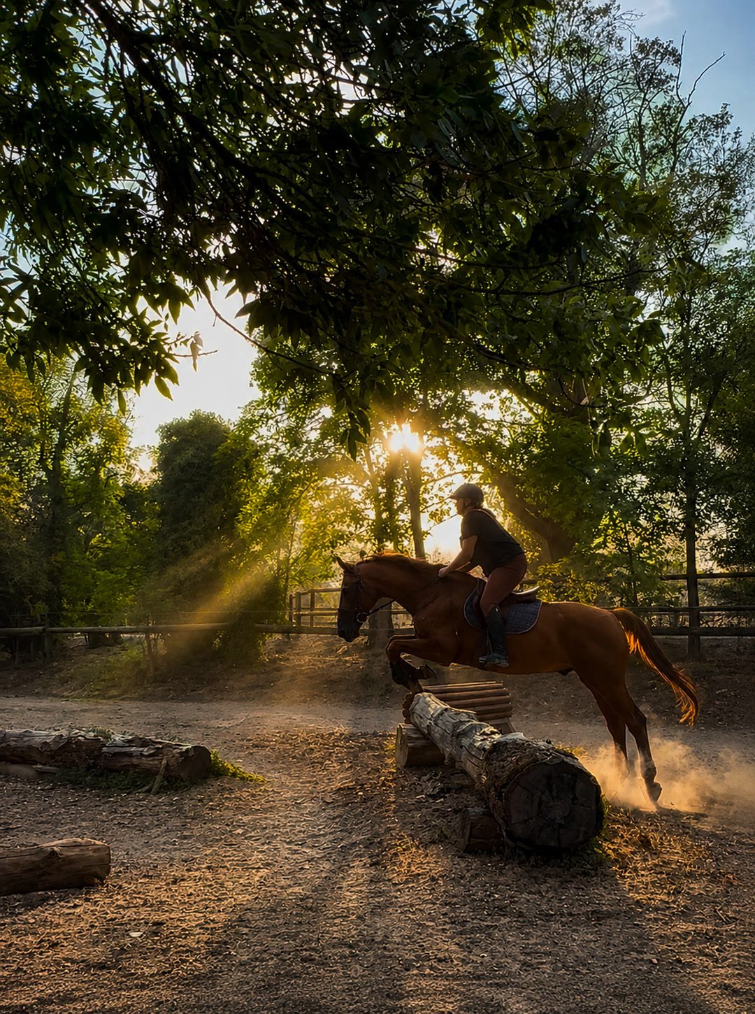 Monitrice d’équitation indépendante, média 5