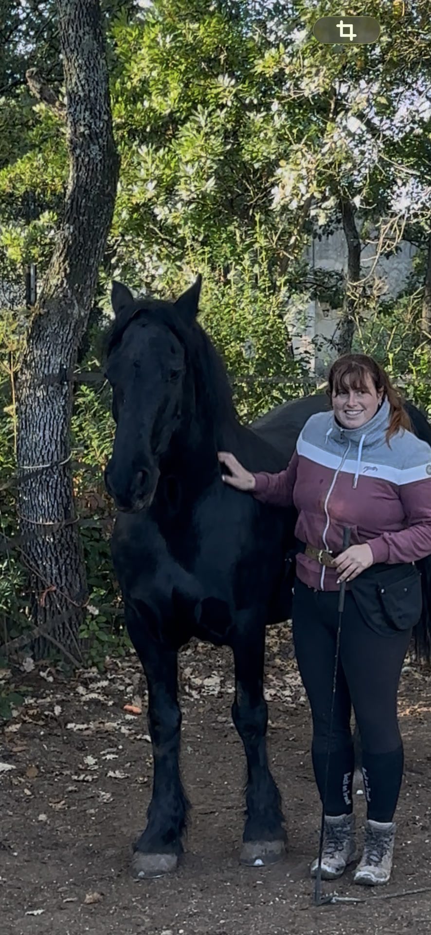 Monitrice d’équitation indépendante, média 3
