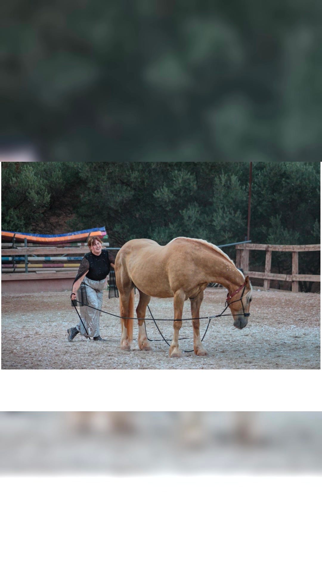 Monitrice d’équitation indépendante, média 4