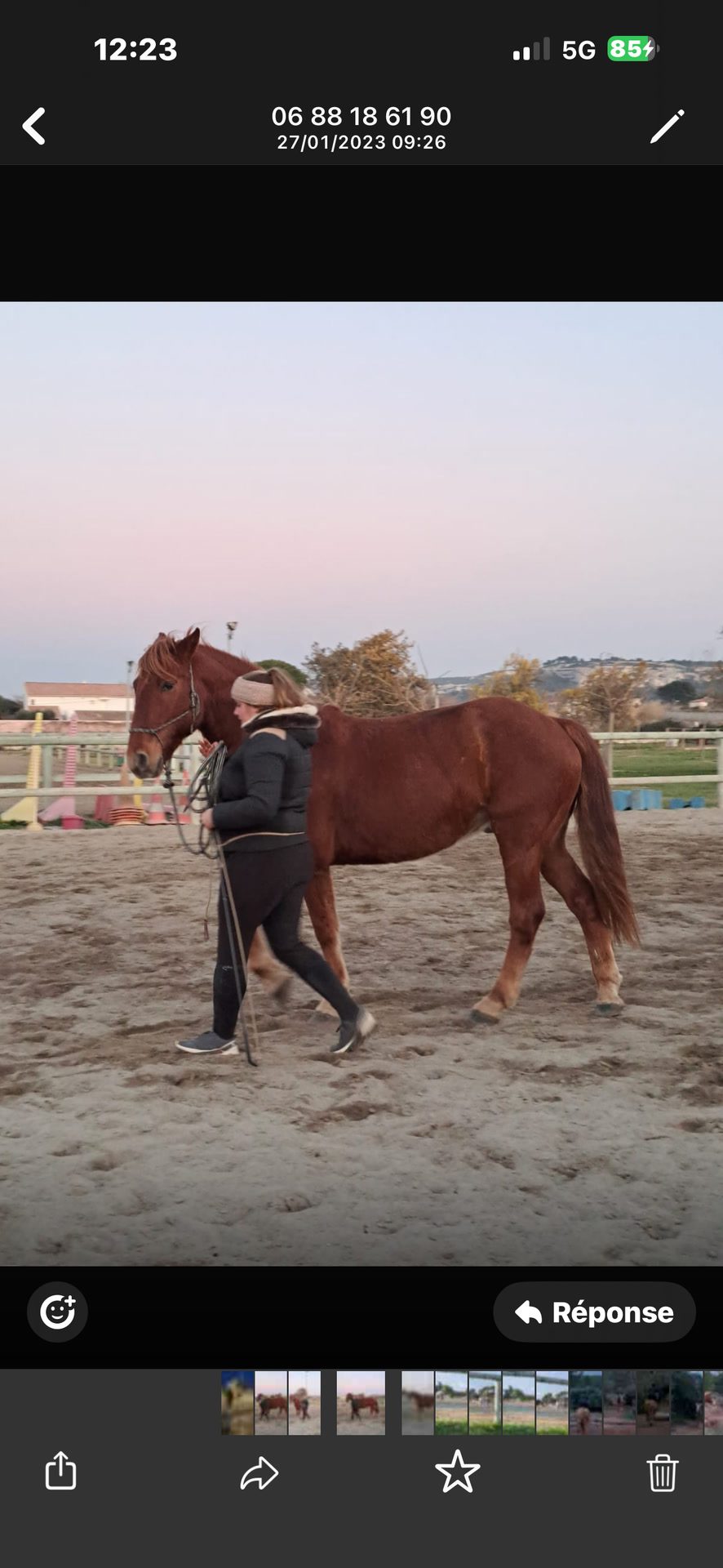 Monitrice d’équitation indépendante, média 8