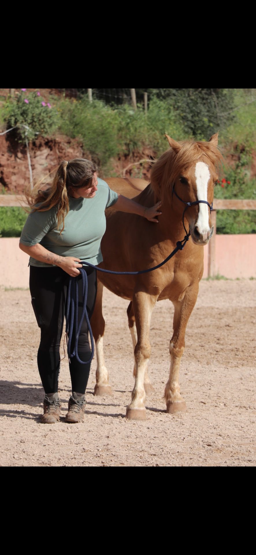 Monitrice d’équitation indépendante, média 2