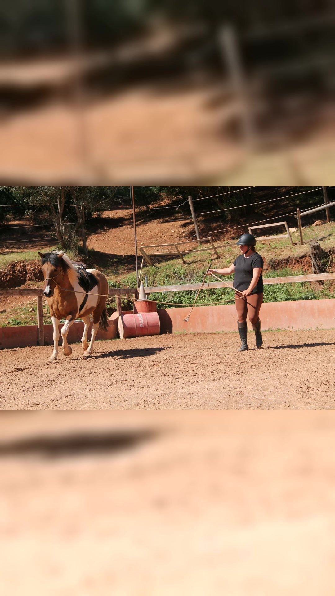 Monitrice d’équitation indépendante, média 9