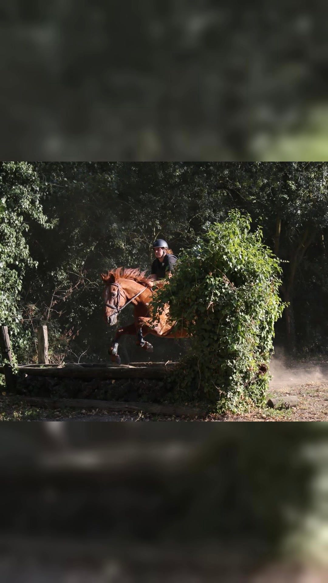 Monitrice d’équitation indépendante, média 7