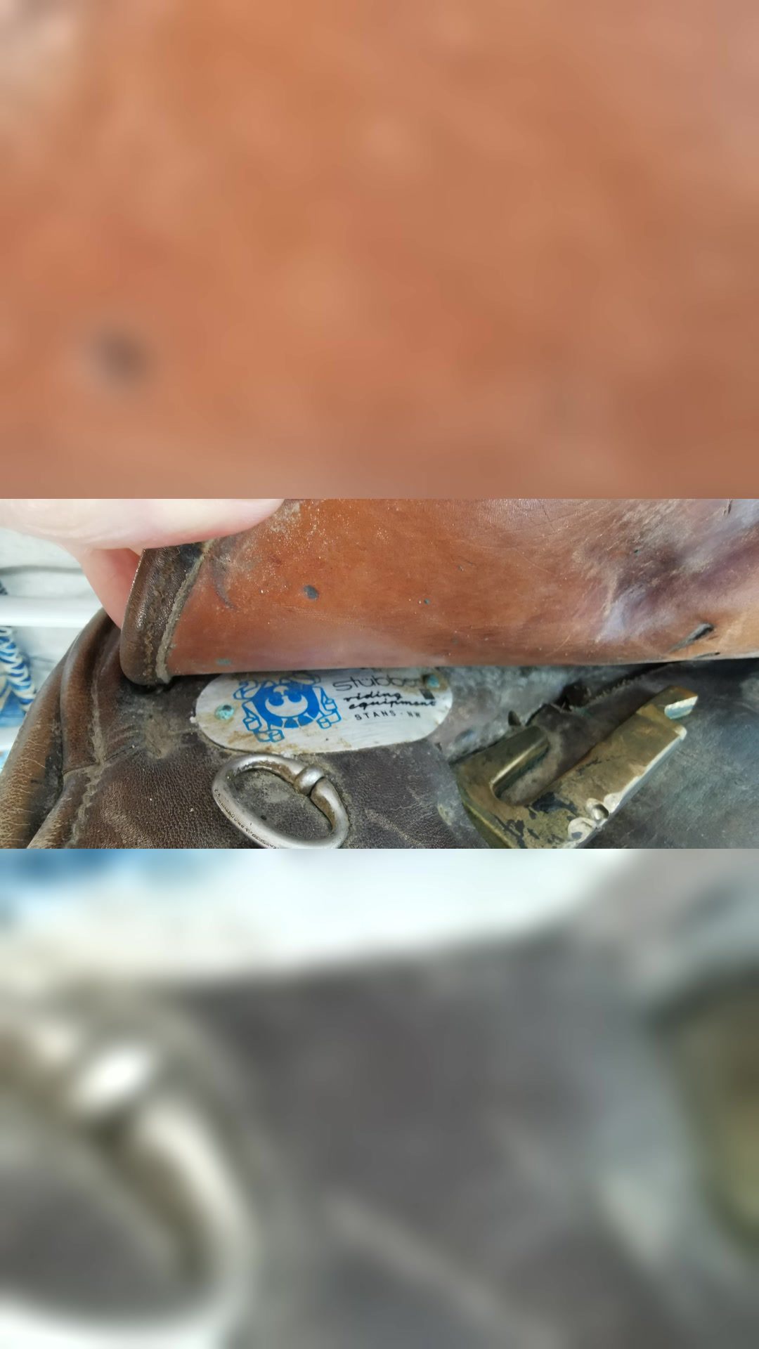 Selle stubben Parzival, média 5