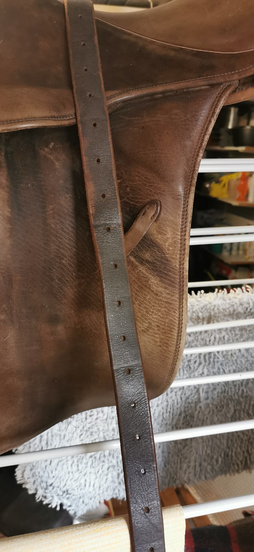 Selle stubben Parzival, média 4