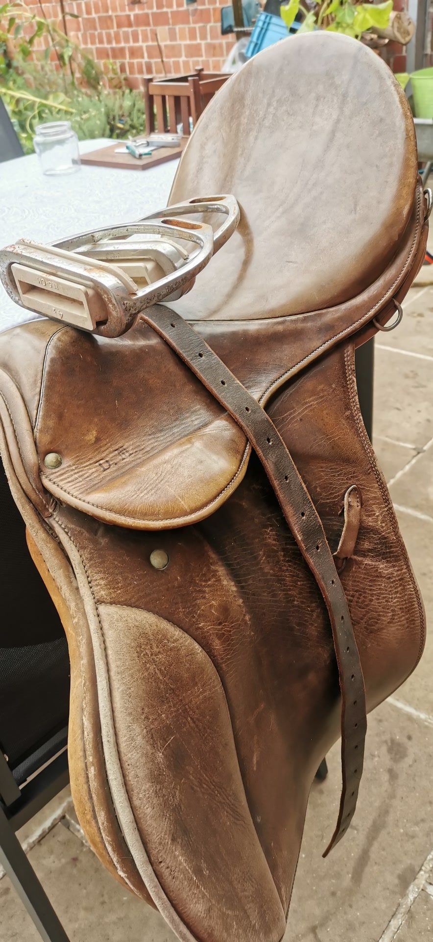 Selle stubben Parzival, média 2