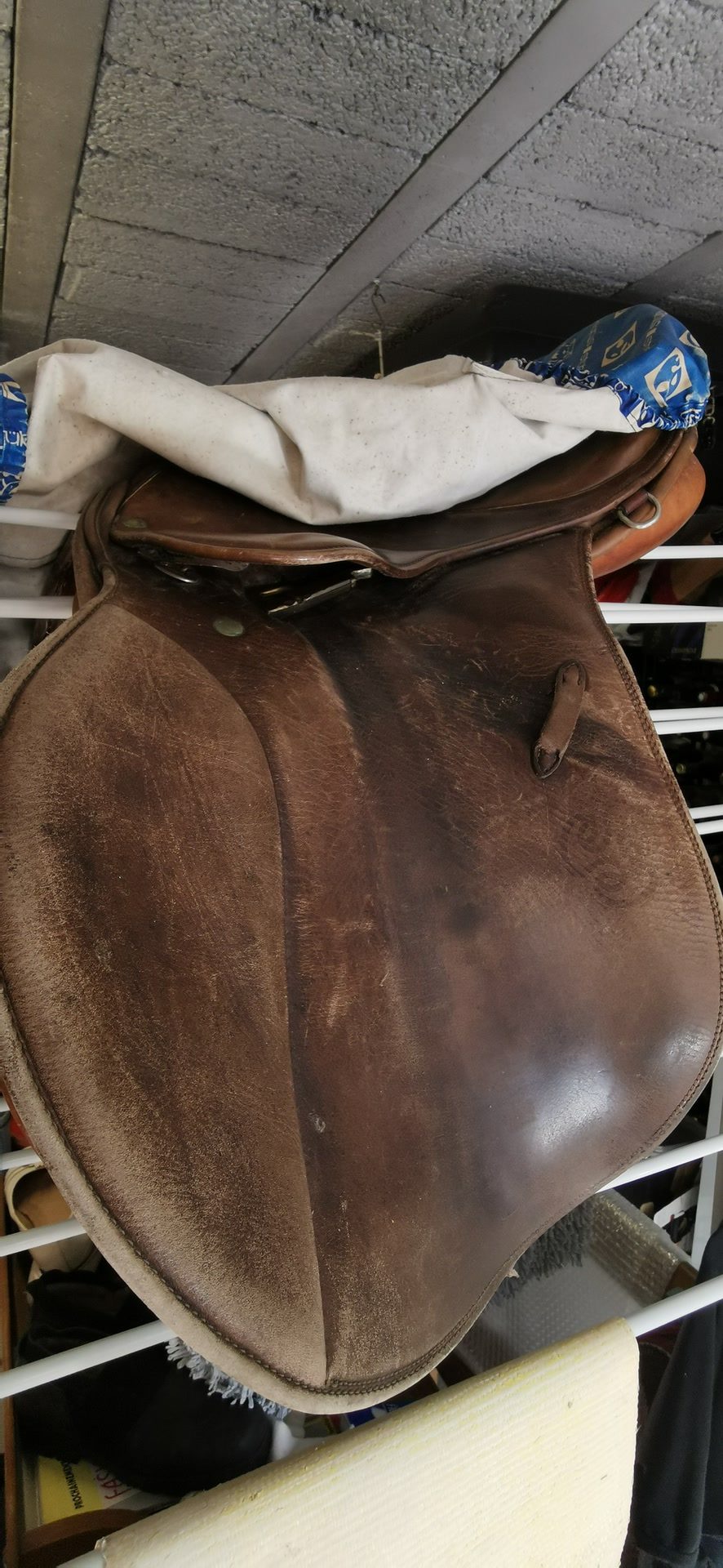 Selle stubben Parzival, média 6