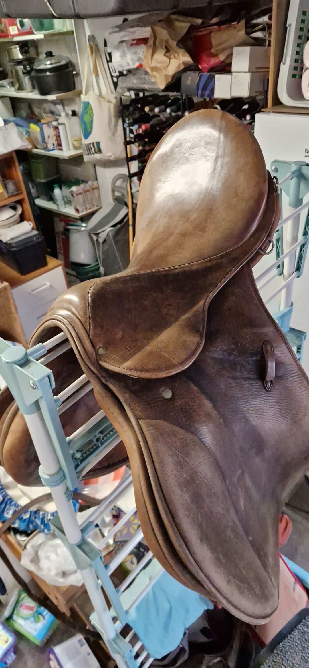 Selle stubben Parzival, média 7