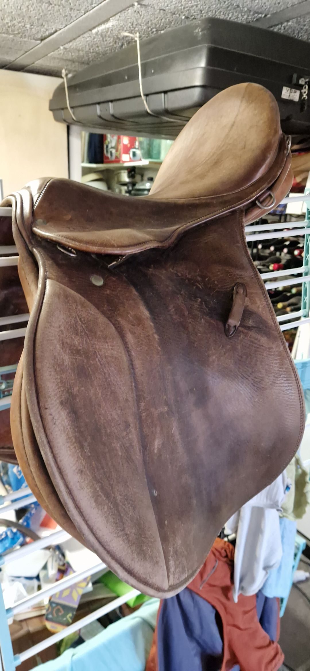 Selle stubben Parzival, média 10
