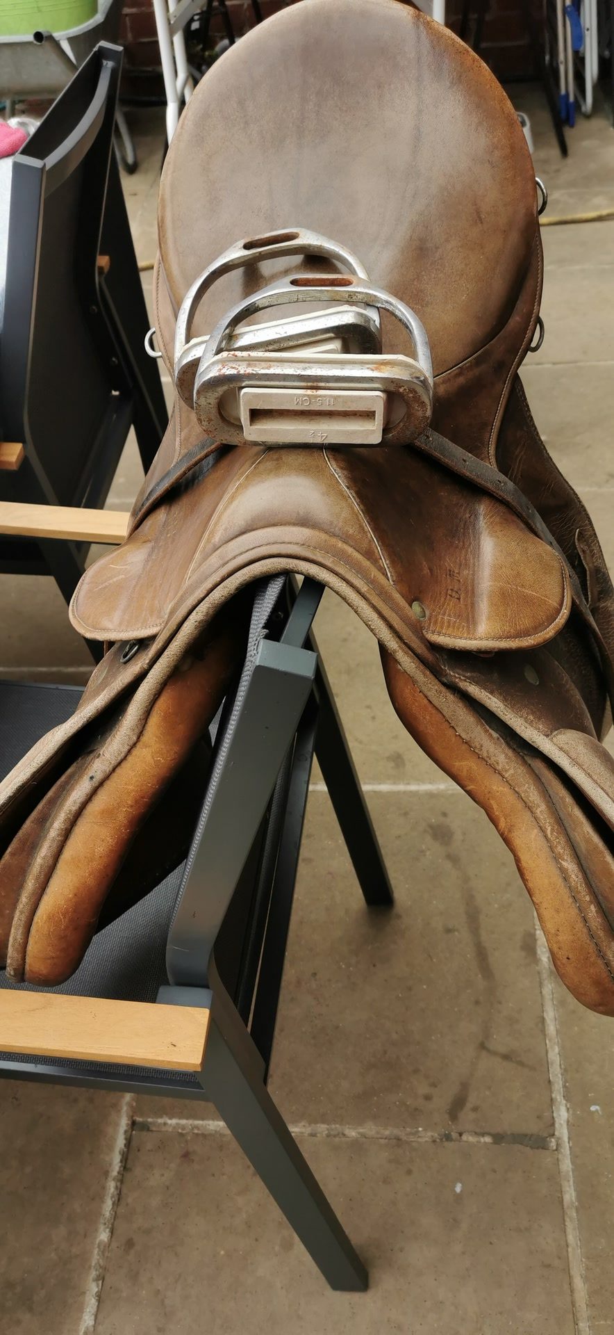 Selle stubben Parzival, média 3