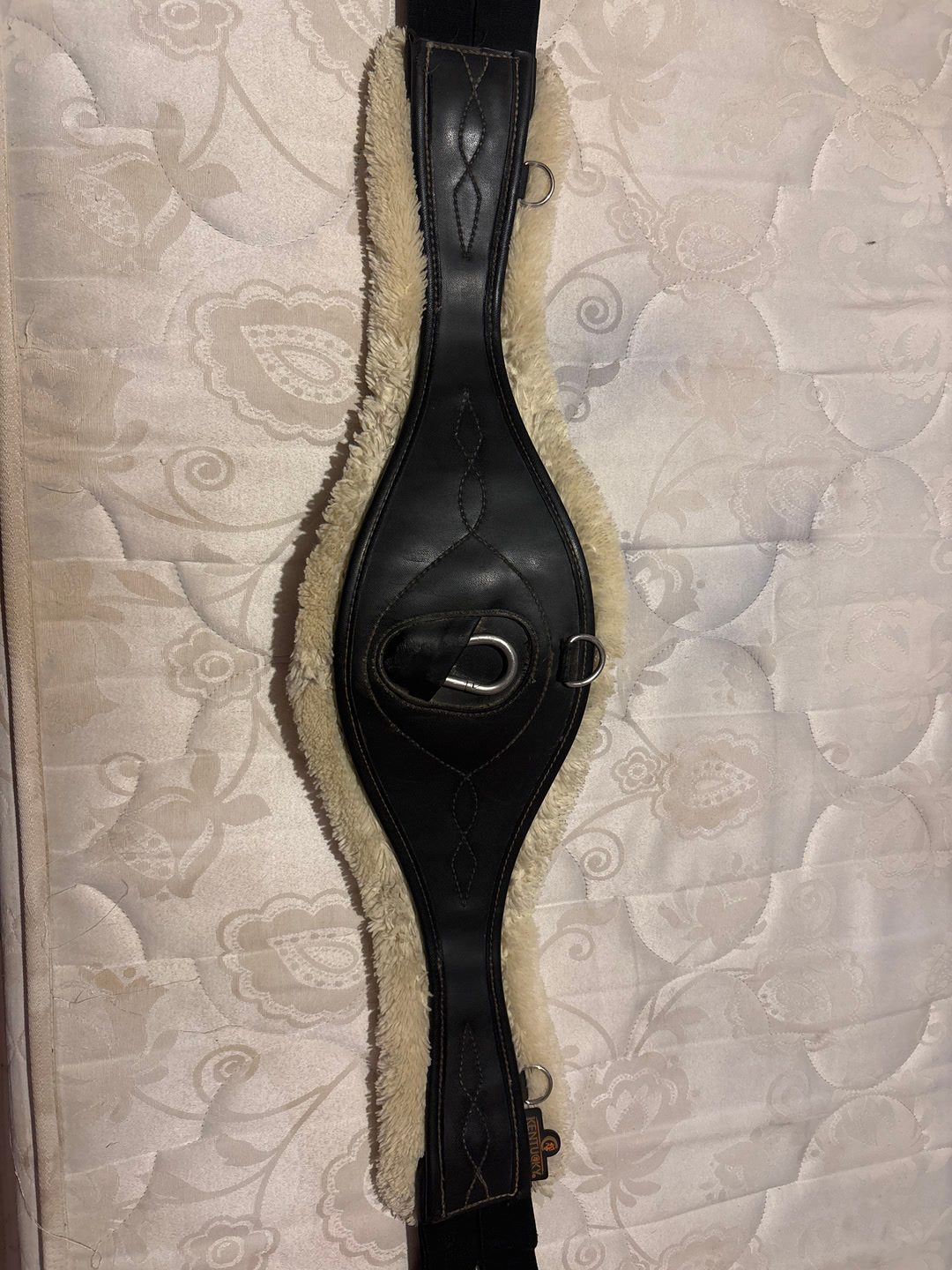 À vendre sangle Kentucky, média 3