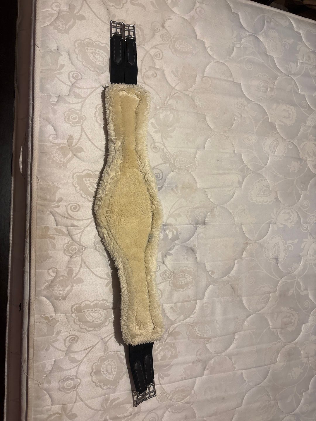 À vendre sangle Kentucky, média 8