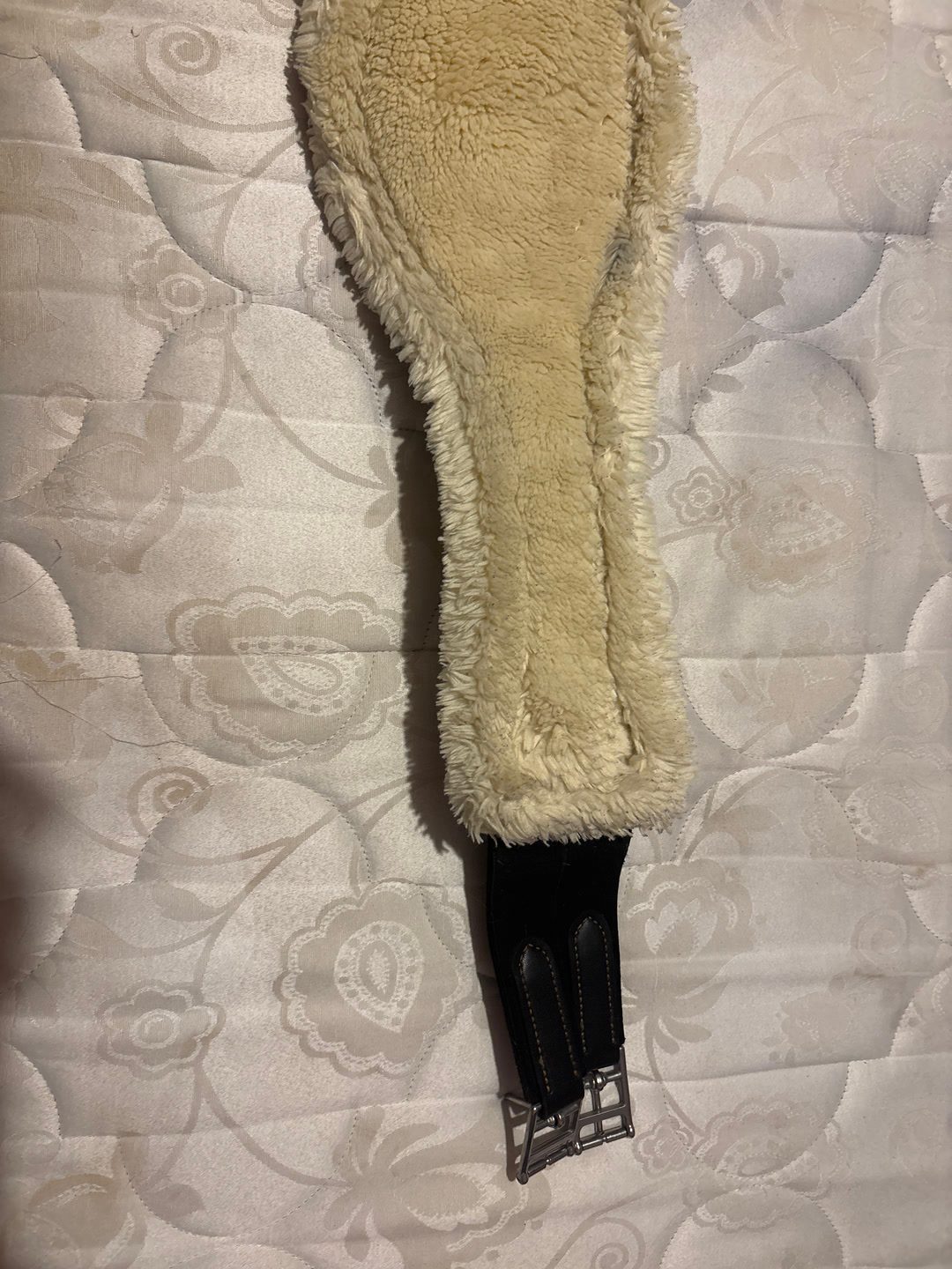 À vendre sangle Kentucky, média 11