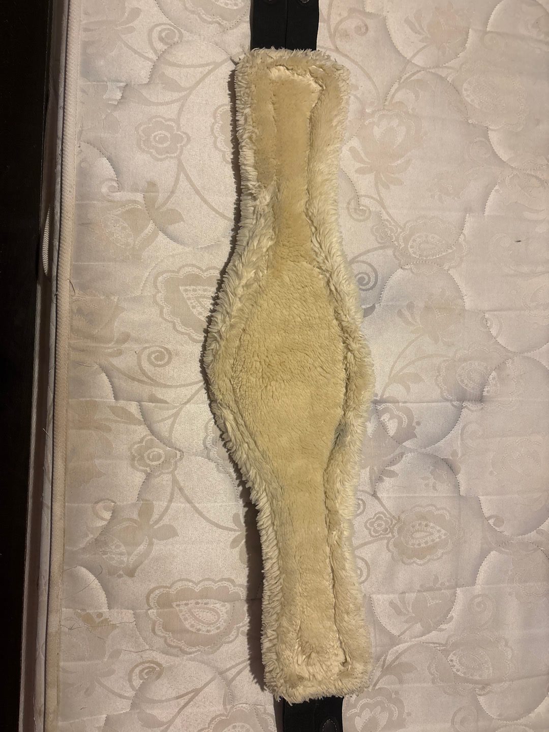 À vendre sangle Kentucky, média 10