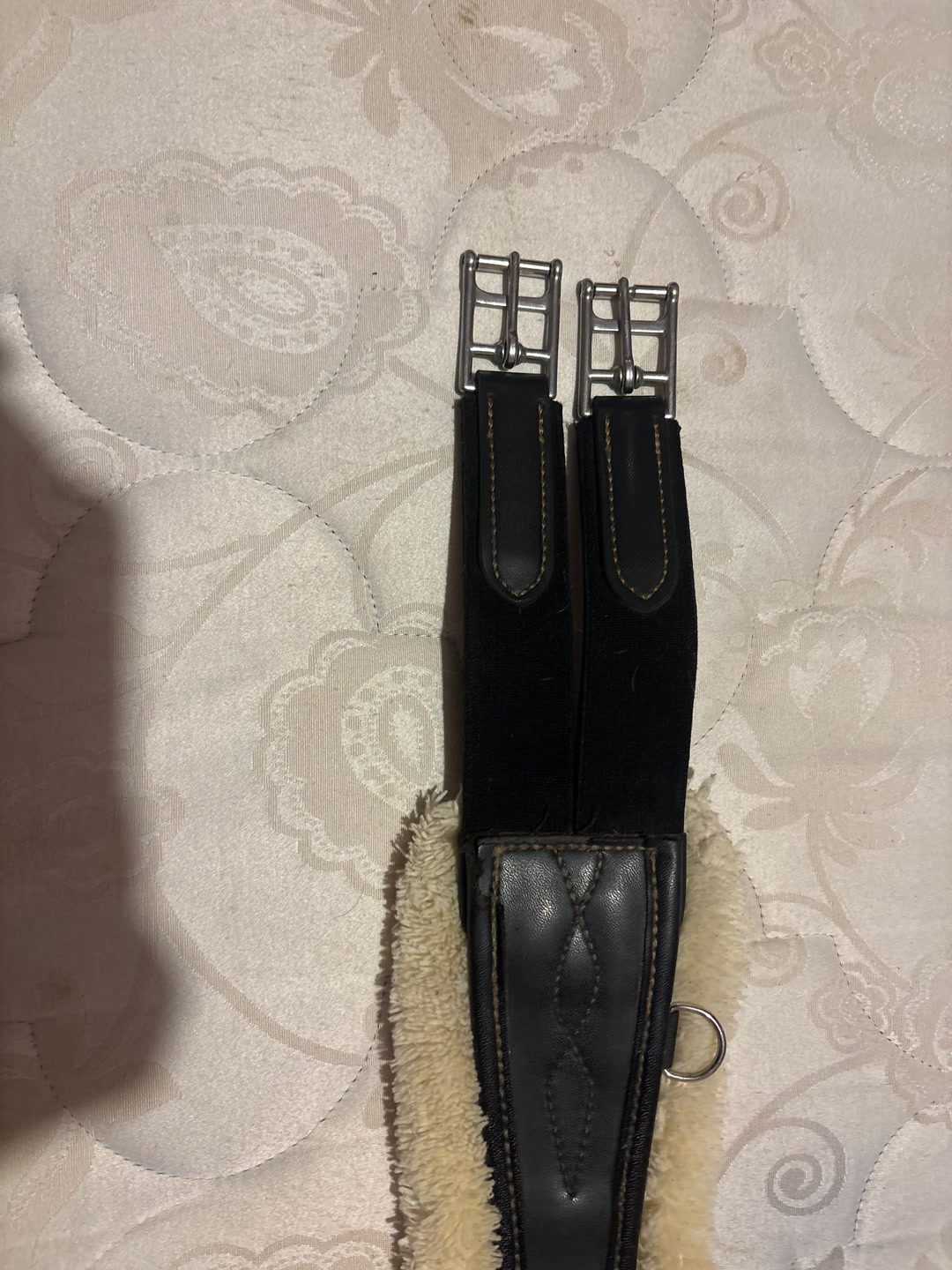 À vendre sangle Kentucky, média 2