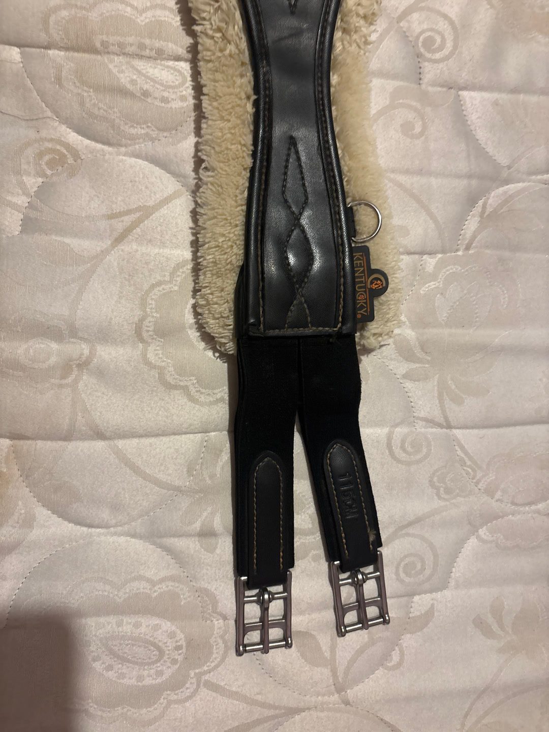 À vendre sangle Kentucky, média 4