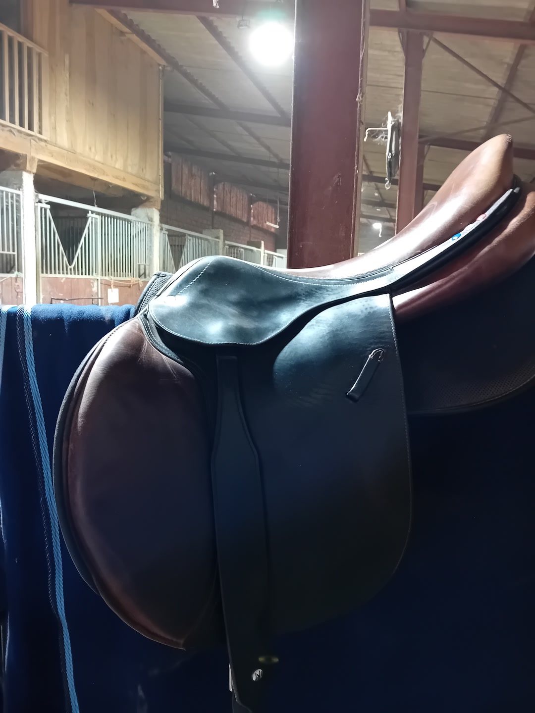 Selle pls, média 2