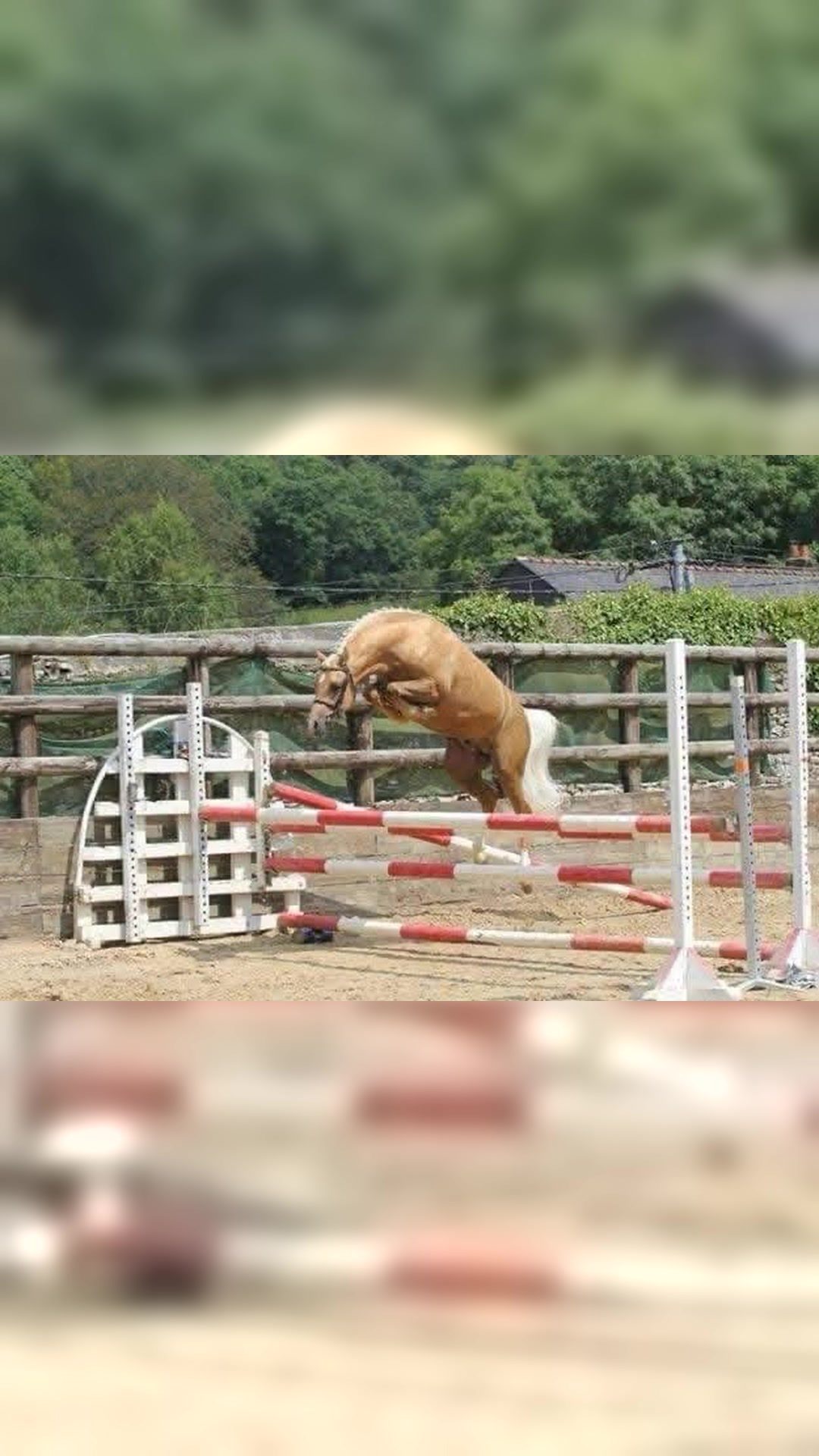 PONY IXE SSE, média 3