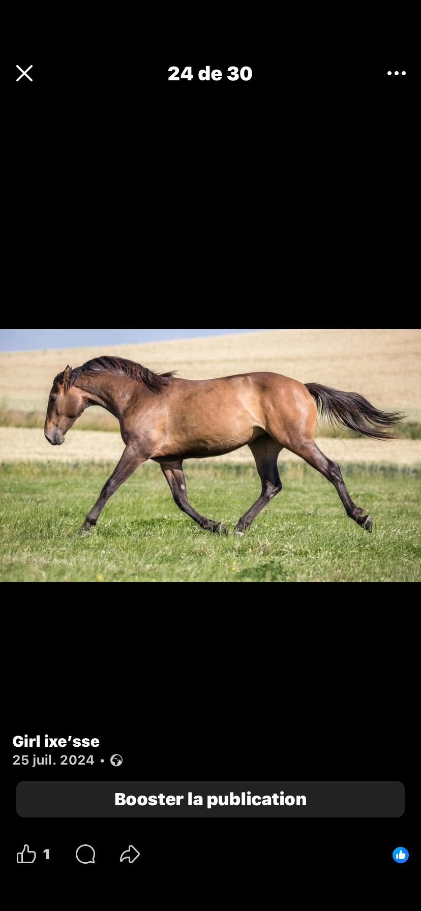 PONY IXE SSE, média 4