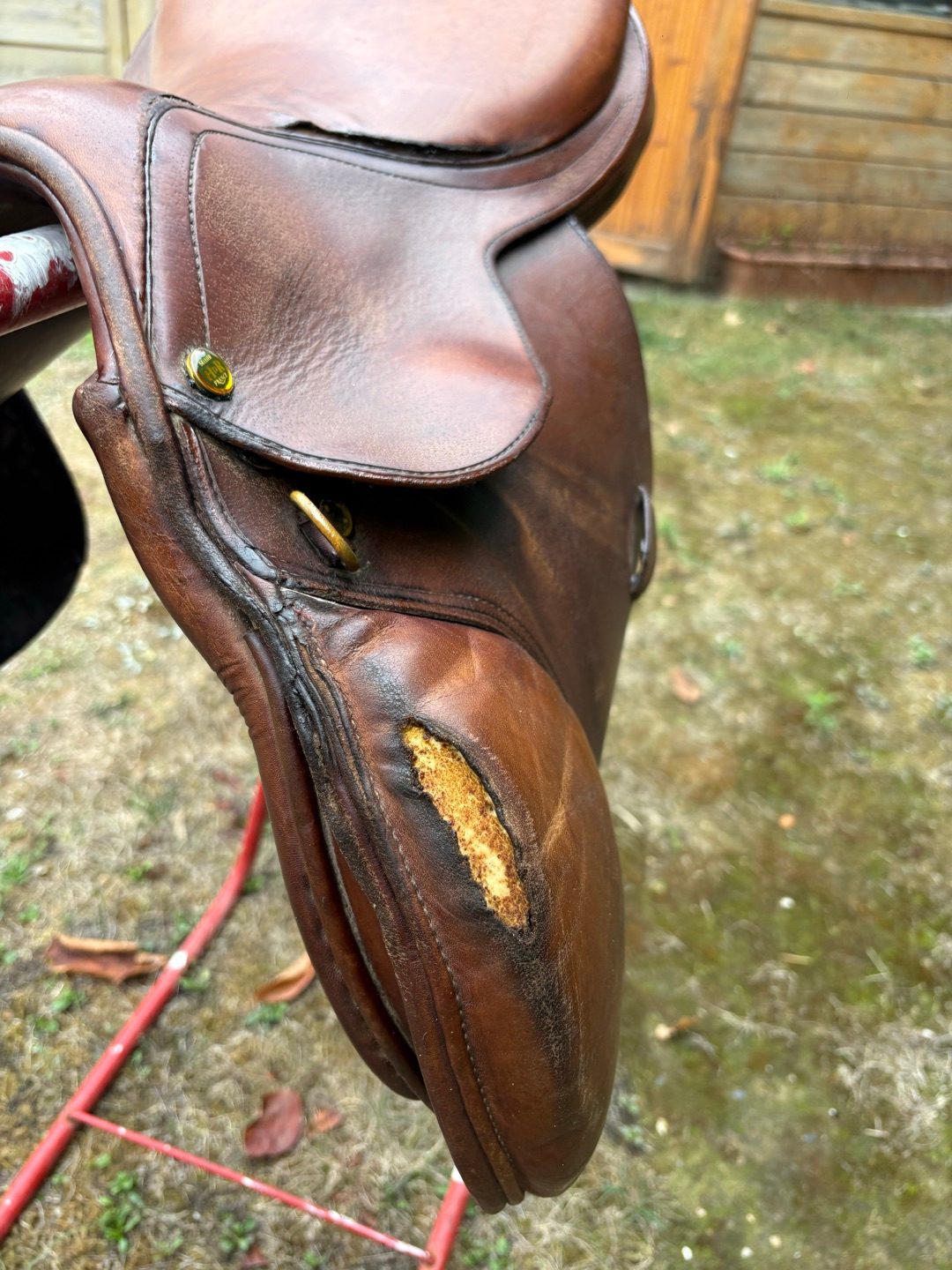 Selle, média 5