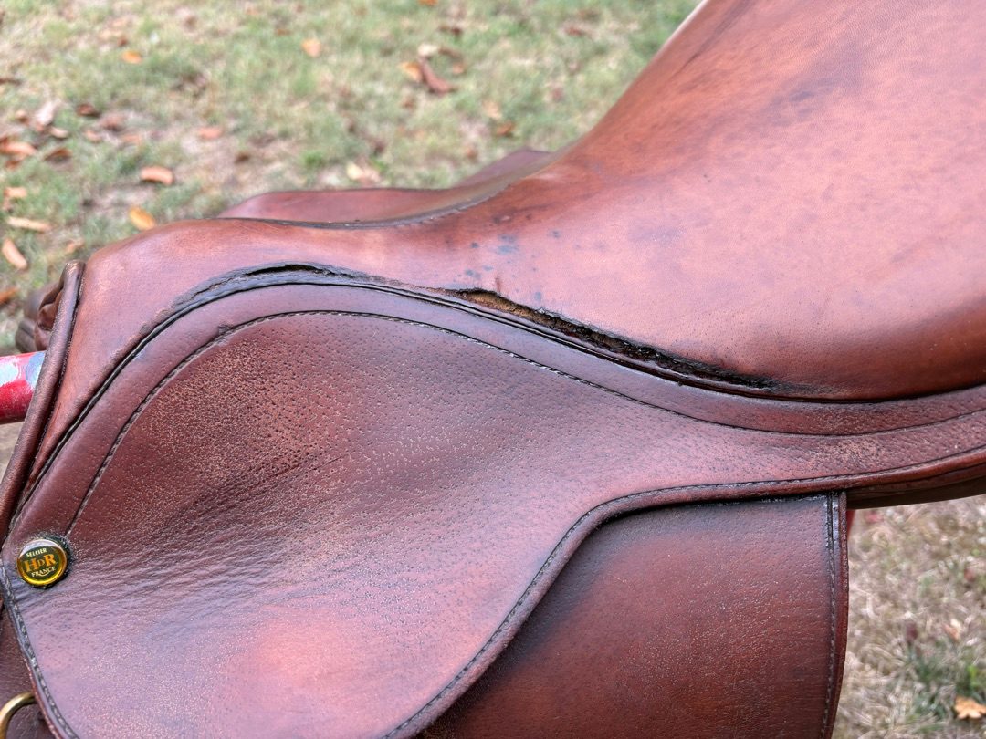 Selle, média 6