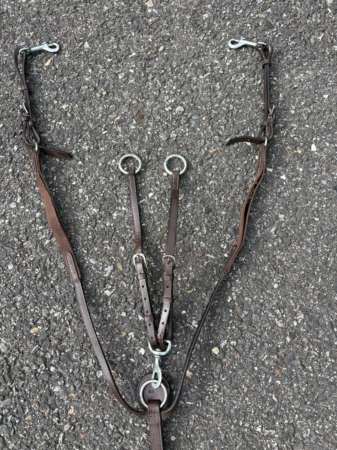 Collier de chasse, média 2
