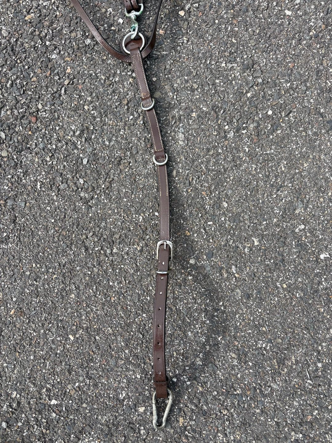Collier de chasse, média 3