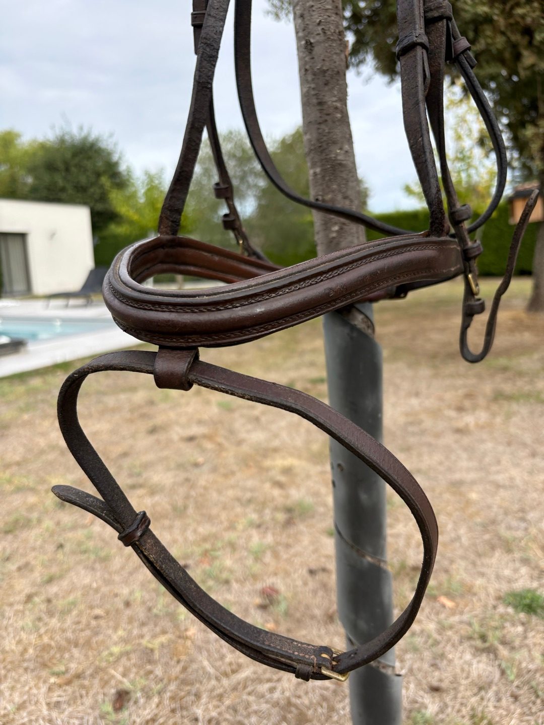 Filet cuir marron, média 3