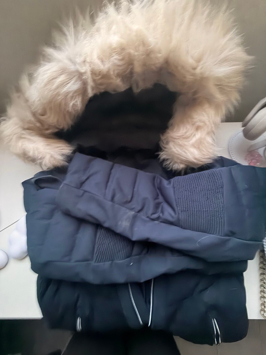 Veste équitation, média 3