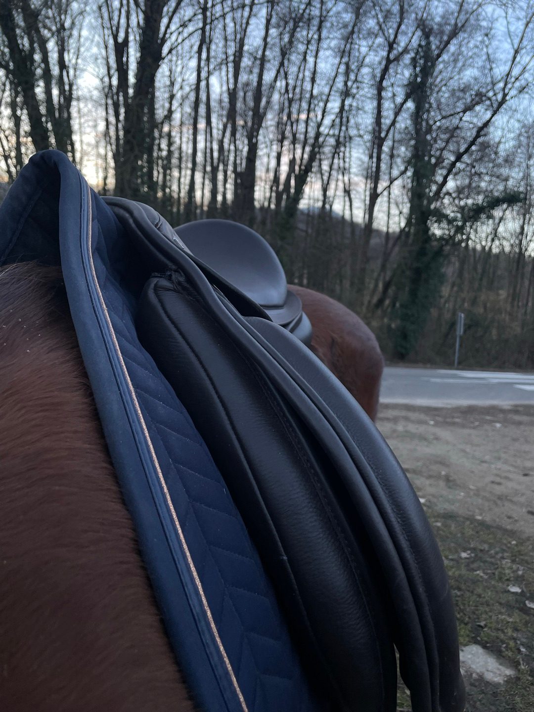 Selle mixte, média 4