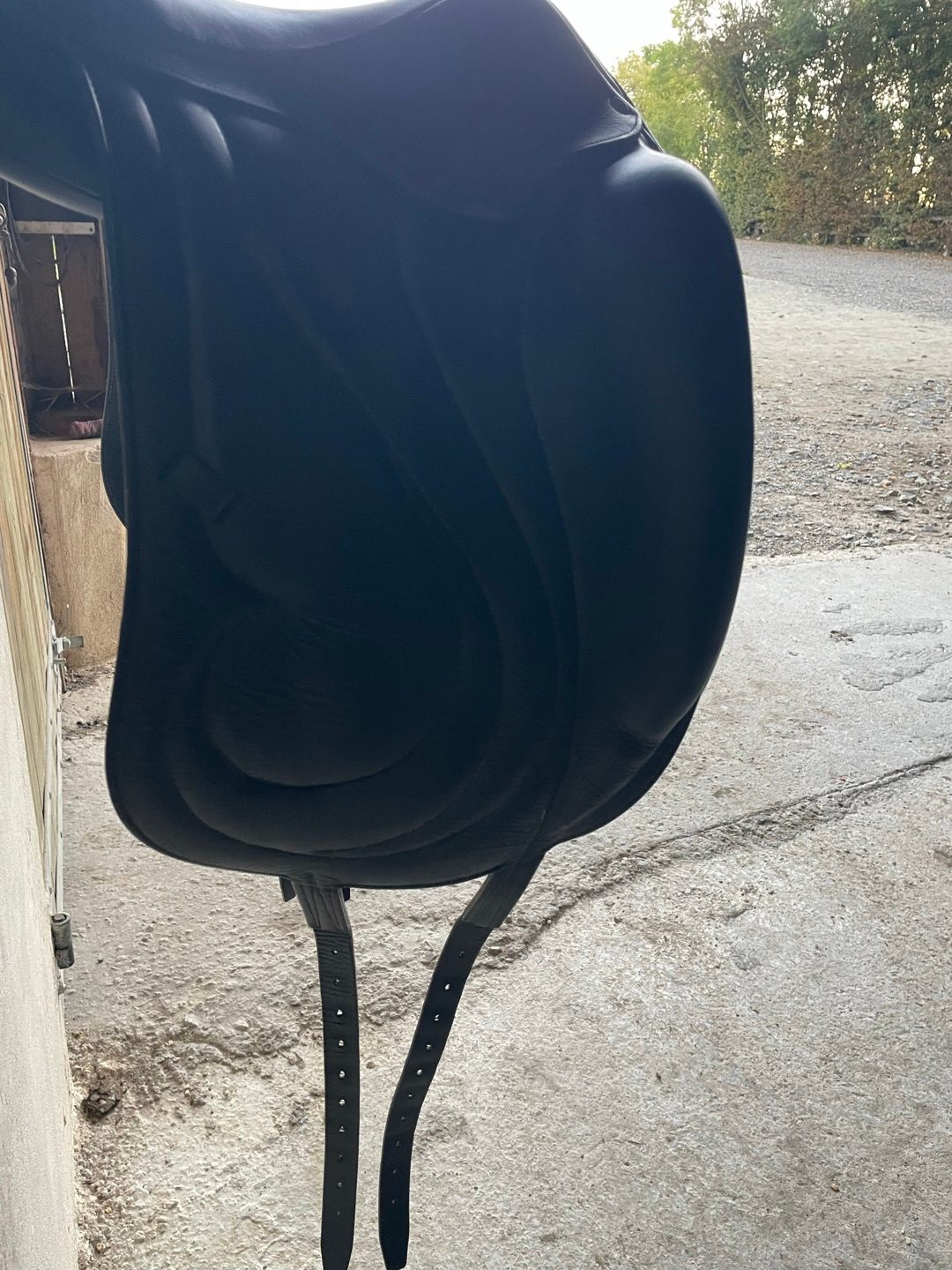 Selle Dressage, média 5