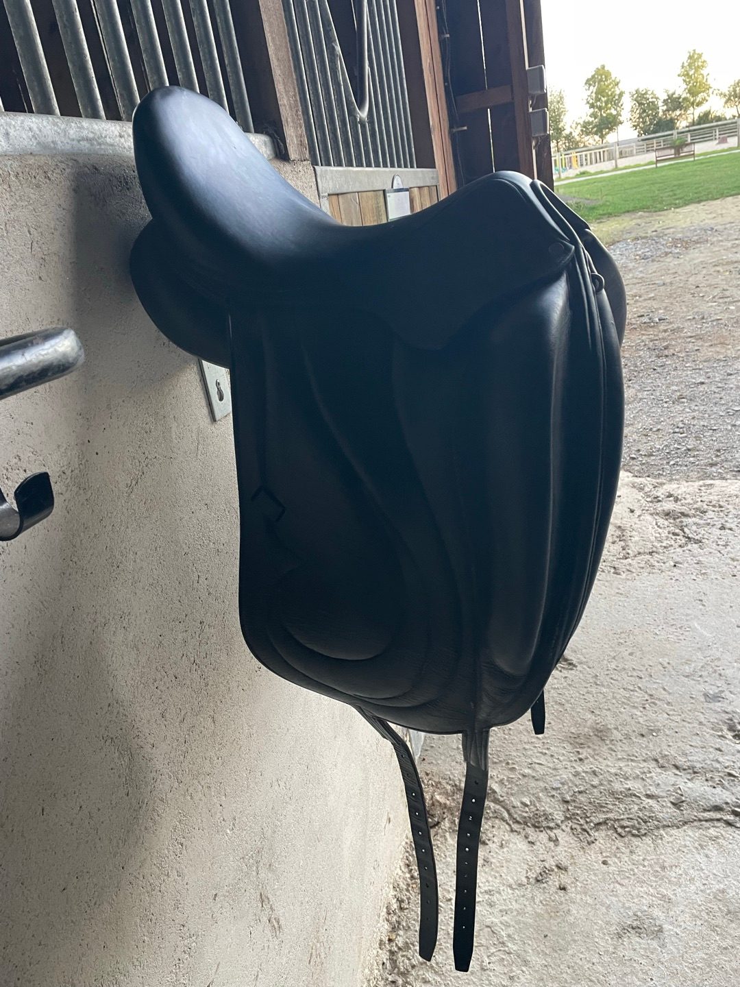 Selle Dressage, média 4