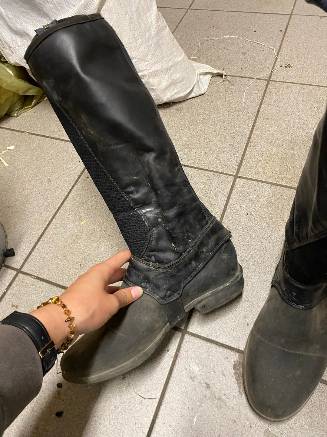 Boots et shaps, média 2
