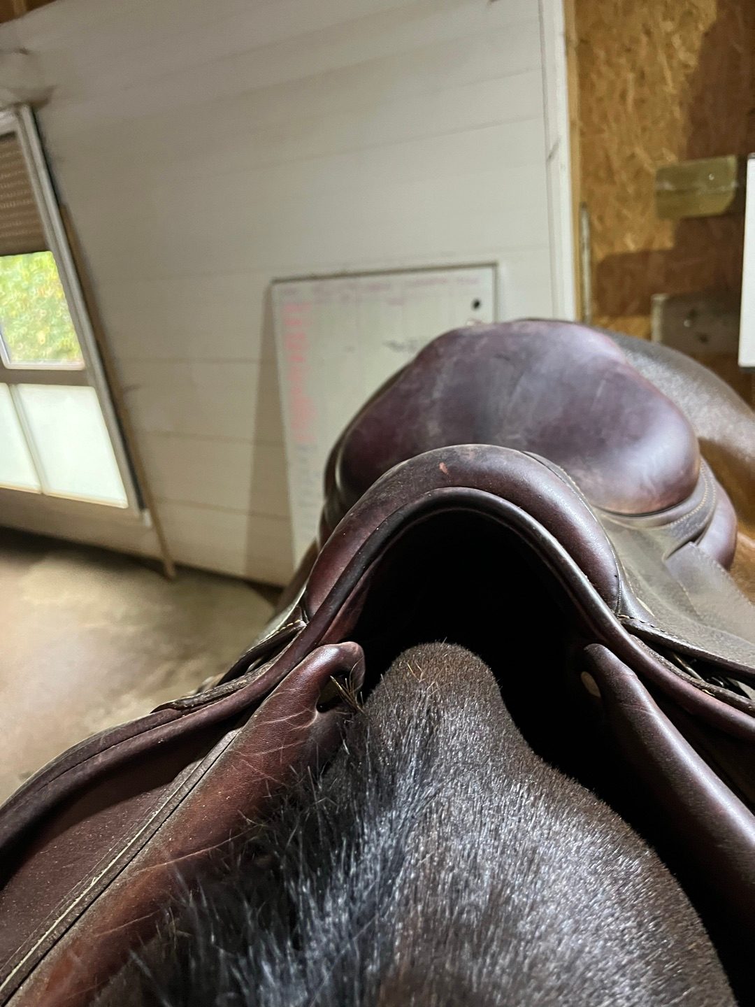 Selle cwd, média 5
