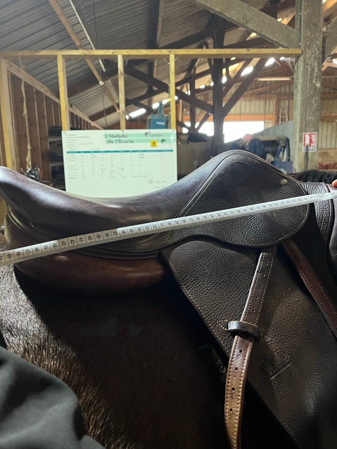 Selle cwd, média 3