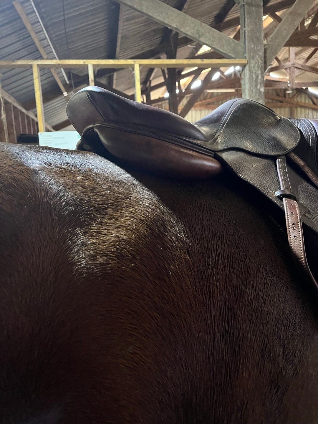 Selle cwd, média 2